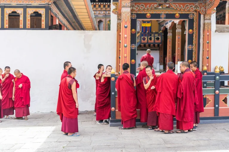 Cultural Tours